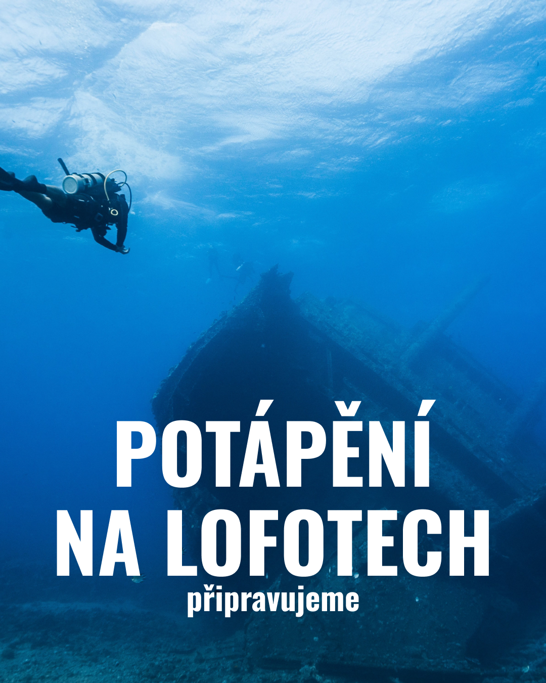 Potápění na Lofotech Potápění na Lofotech