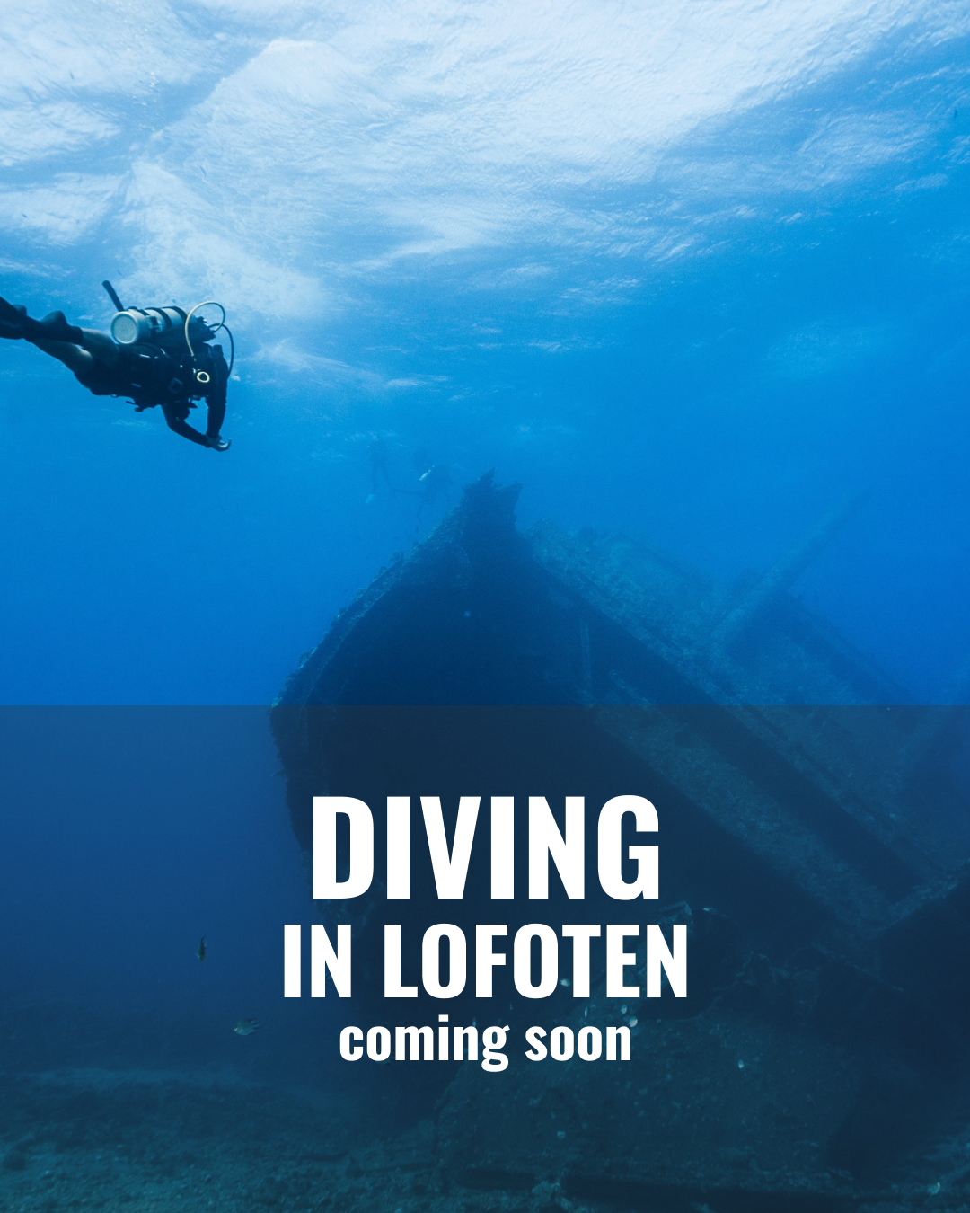 Potápění na Lofotech