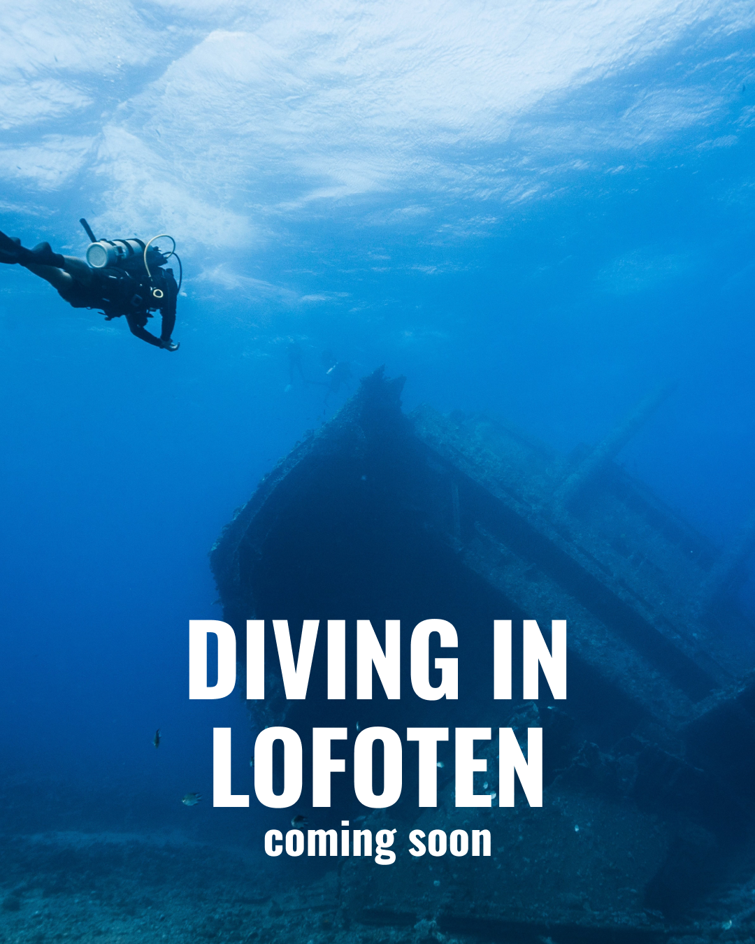 Wreck Diving in Lofoten Potápění na Lofotech